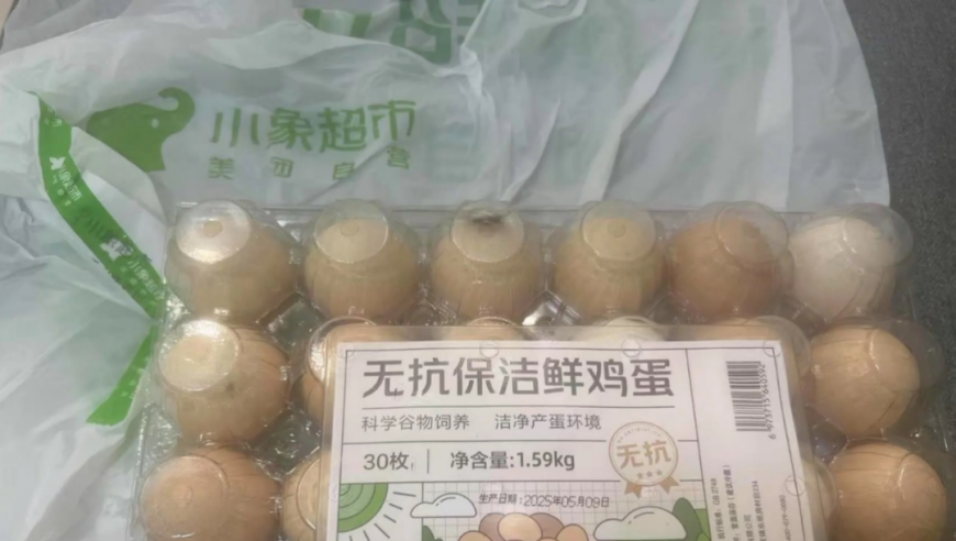 2025年澳门今晚开奖号码管家婆一肖一码,让祖国大地更加绿意盎然生机勃发,多元化方案执行策略_基础版V10.78